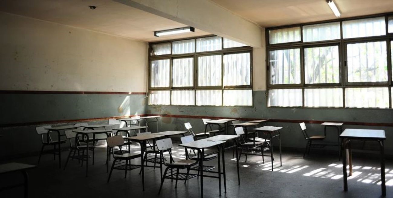 Senador Enrico: "¿La no repitencia es la solución?"