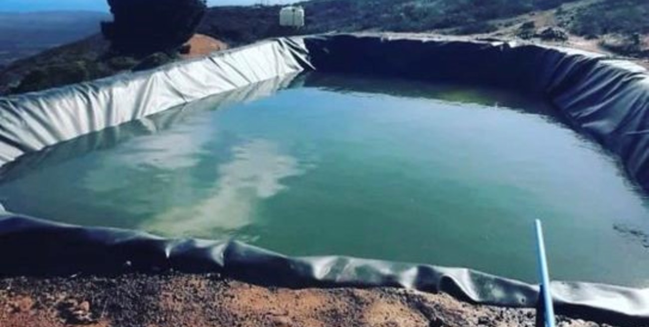 Chile apuesta a “cosechar agua” de niebla para combatir la mayor sequía de su historia...y producir cerveza