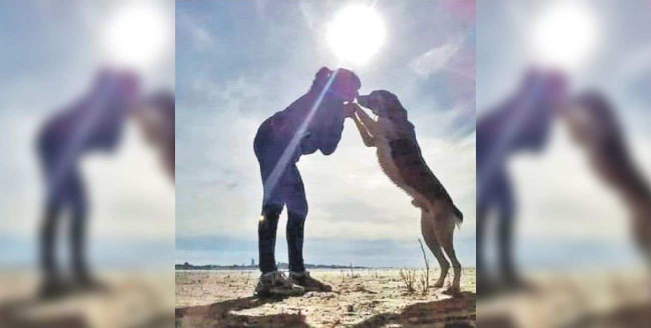 Línea directa: "Por favor: necesito ayuda", "El que trabaja la tierra no especula" y otros mensajes