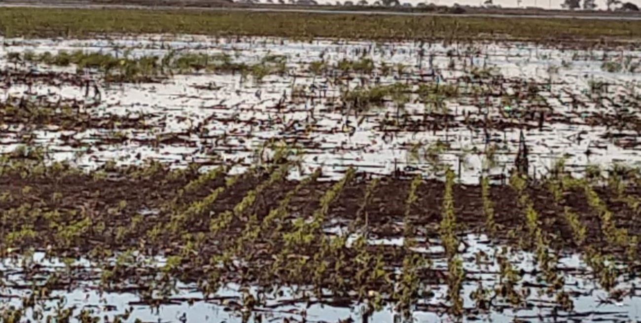 Nueva Ley de Emergencia: cómo se incorpora a los arrendatarios 