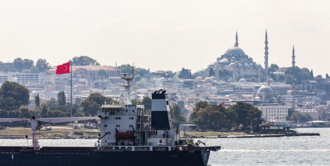 Arribó a Turquía un barco con 33.000 toneladas de maíz exportados desde Ucrania