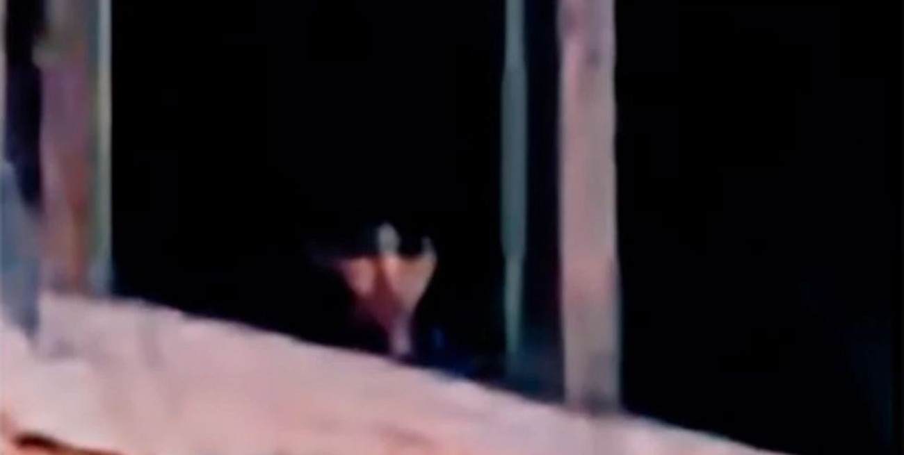 Escalofriante: habrían capturado la imagen de un fantasma en el ex Hospital Neuropsiquiátrico de Santa María de Punilla