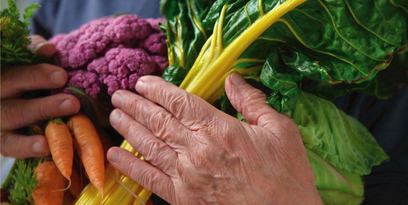 Taller: prevenir la diabetes y la hipertensión a través de la alimentación