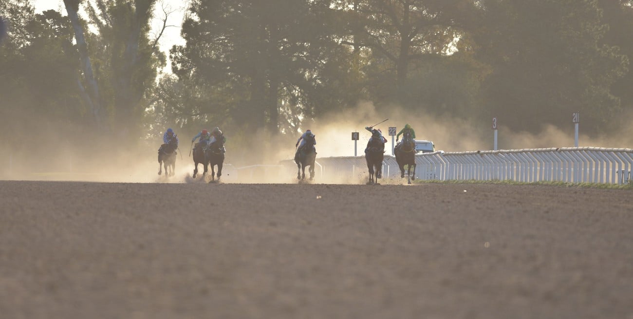 Turf: sobre pista normal se corrieron diez carreras