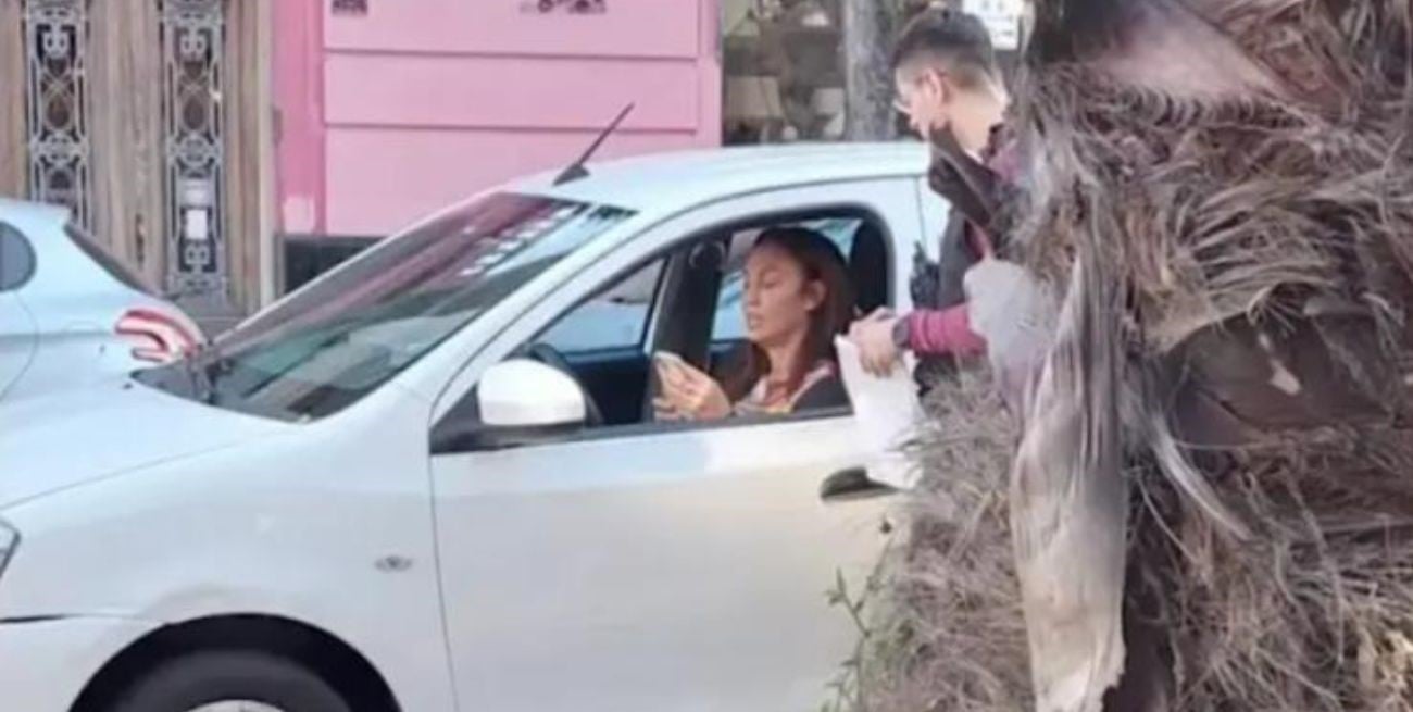 Escracharon a Ernestina Pais tras protagonizar un choque en Palermo: intentó escapar y la detuvo la policía