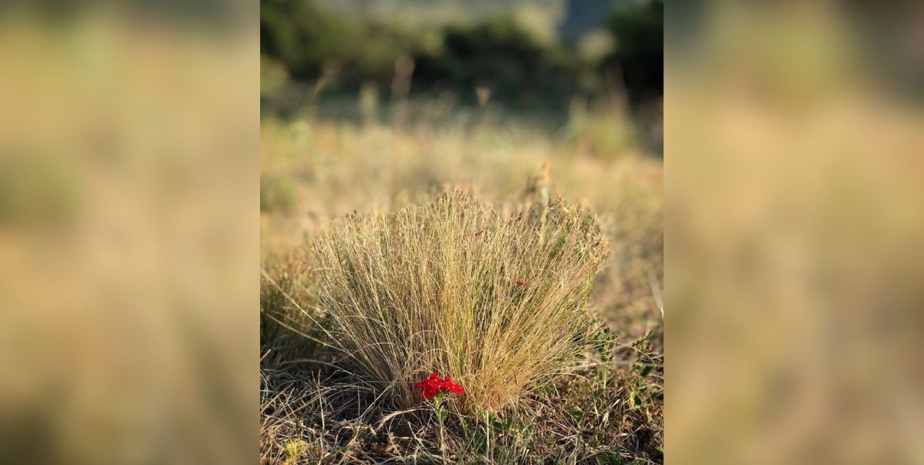 Línea directa: "Más carga burocrática", "Administración del dinero público" y otros mensajes