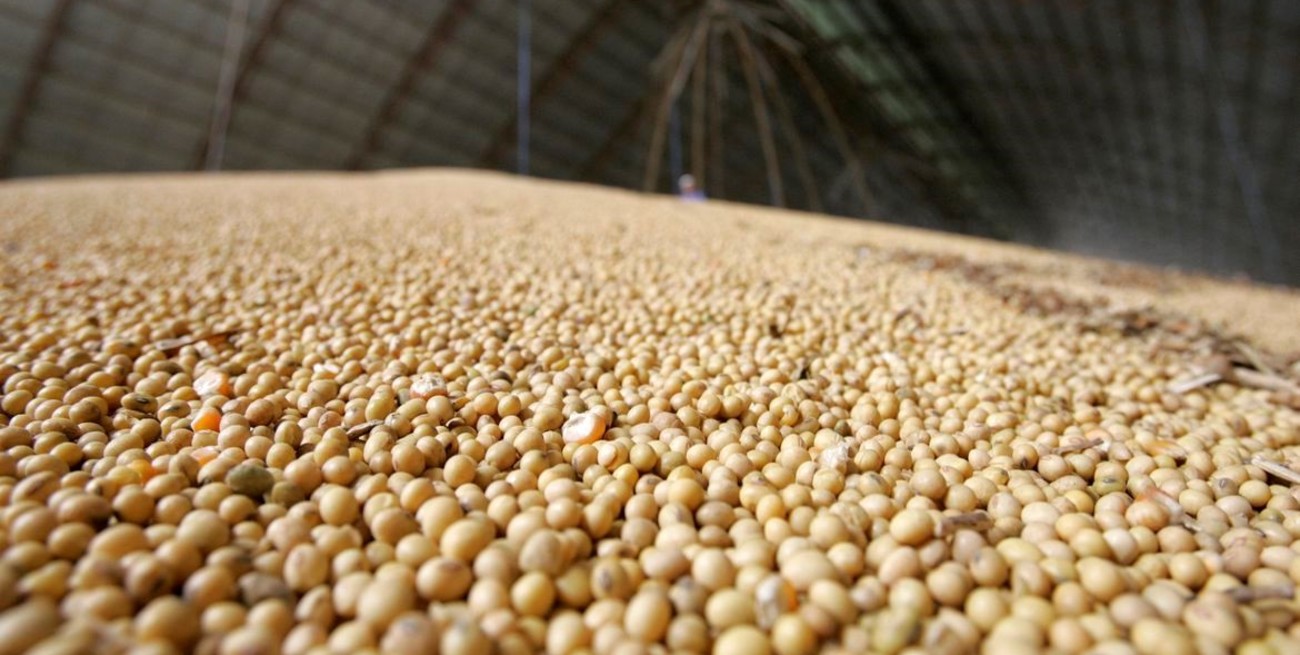 Leve contracción de la actividad en junio