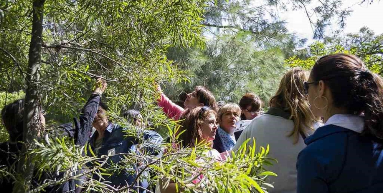 El Bosque de los Constituyentes se convertirá en Aula Viva
