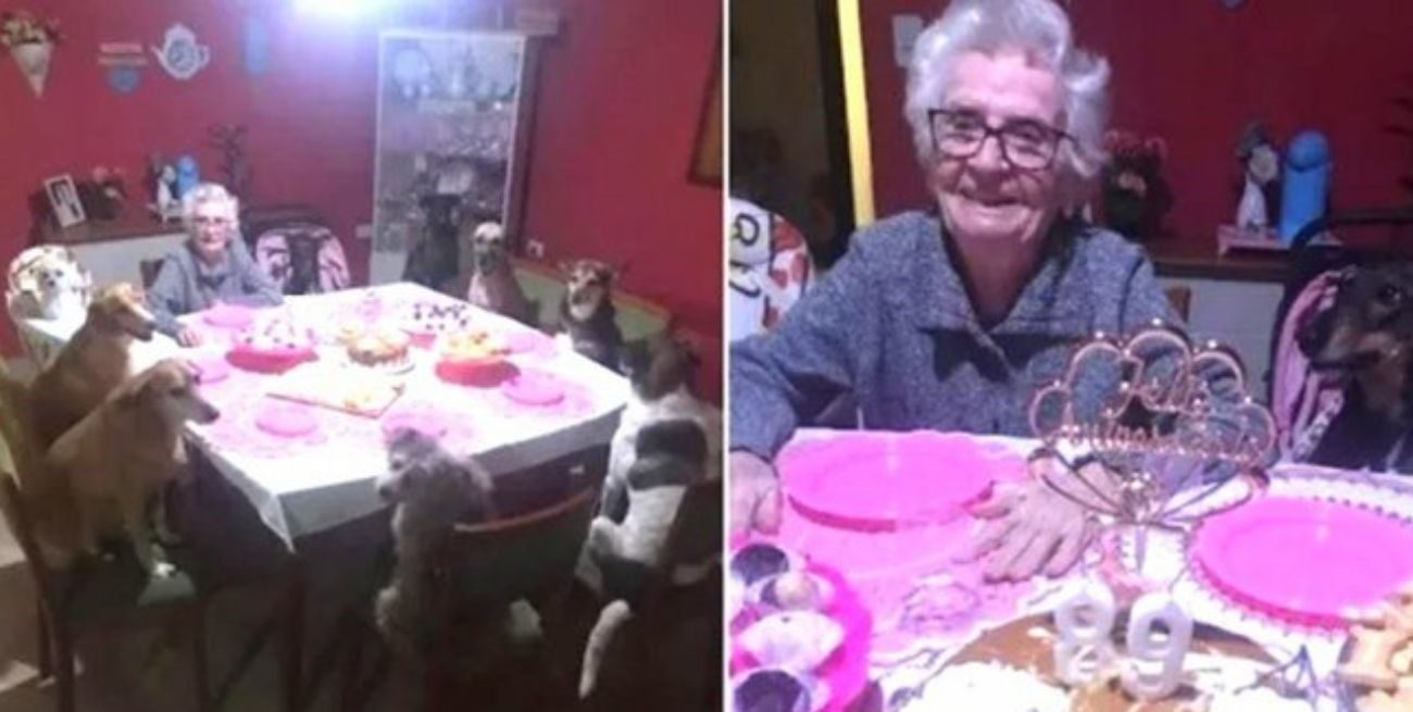 Video: cumplió 89 años, lo celebró junto a sus diez perros y el festejo se volvió viral