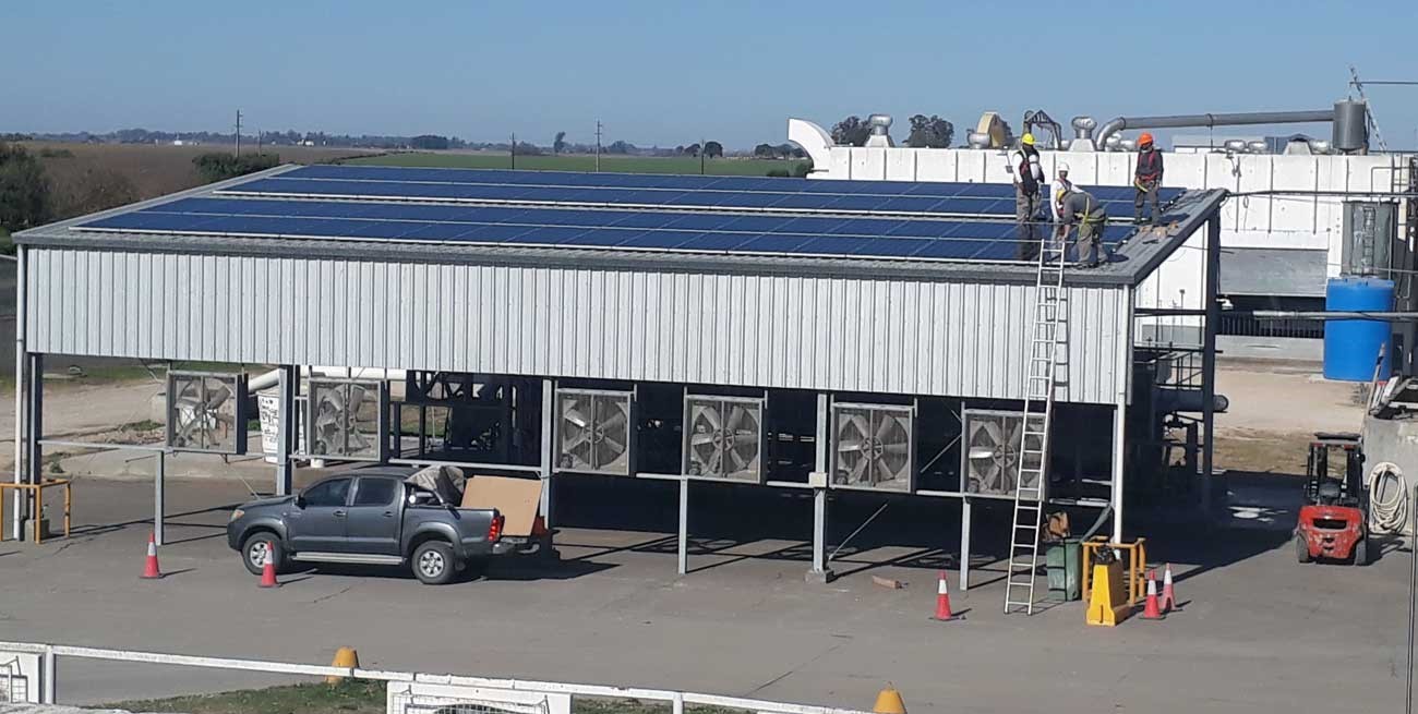 Grupo Motta y su continua apuesta al cuidado del medioambiente