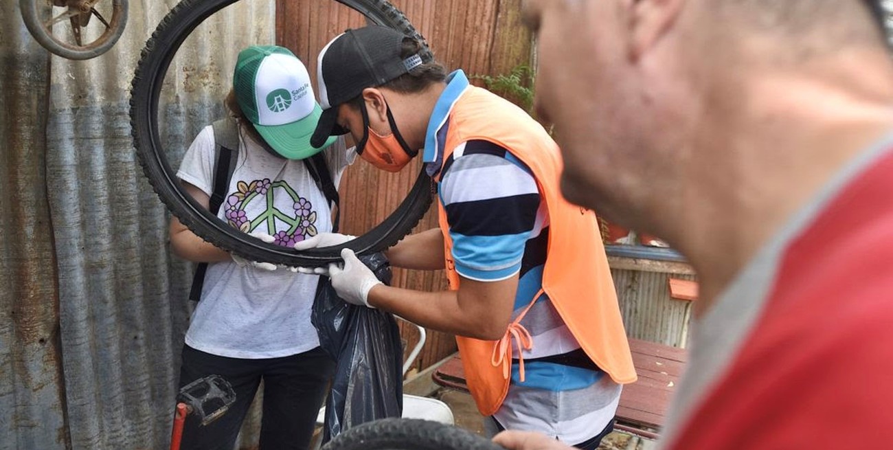 Día Internacional contra el Dengue: subrayan la necesidad de estar siempre alertas