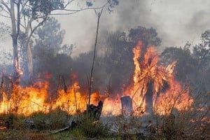 Incendios forestales en Corrientes. "Las condiciones atmosféricas actuales se ven agravadas por una intensa sequía, que también favorece esta clase de siniestros naturales, que ahora son recurrentes", dicen los expertos.