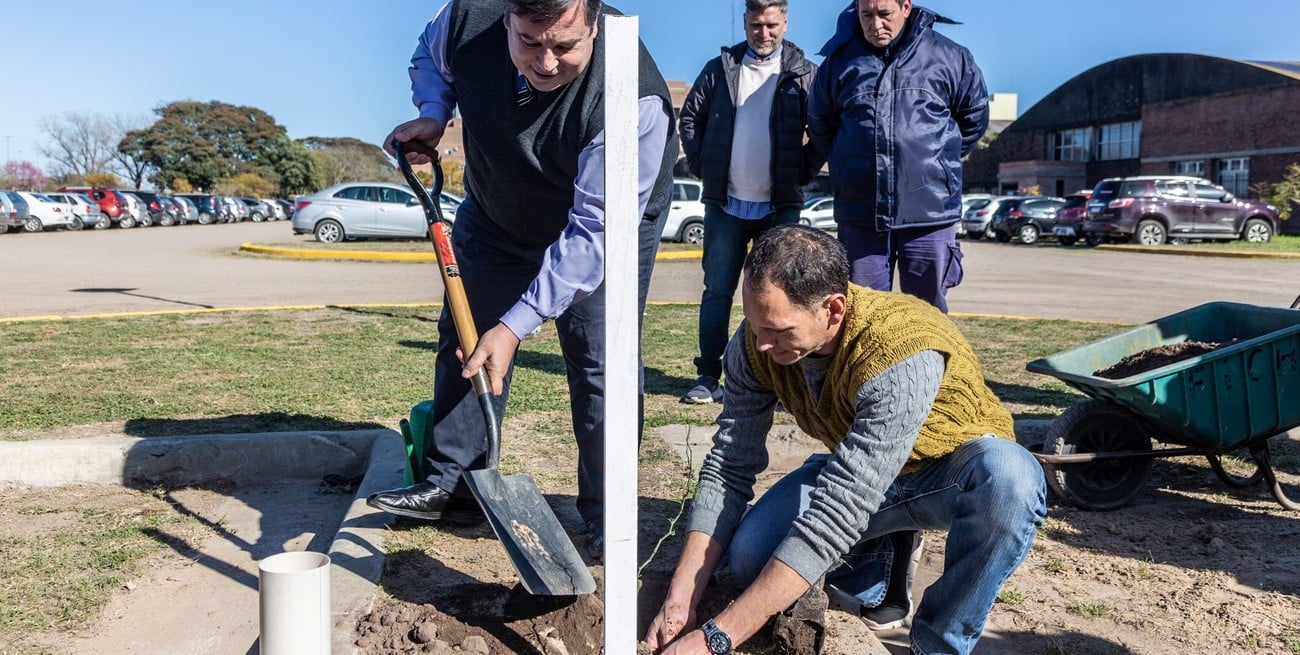 Plantan más de 400 árboles nativos en cuatro ciudades santafesinas
