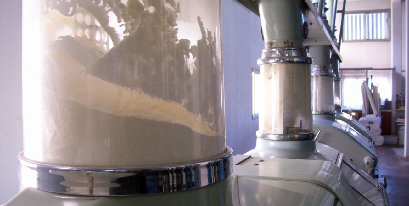 El gobierno nacional le anunció a los molinos harineros el fin del fideicomiso triguero 