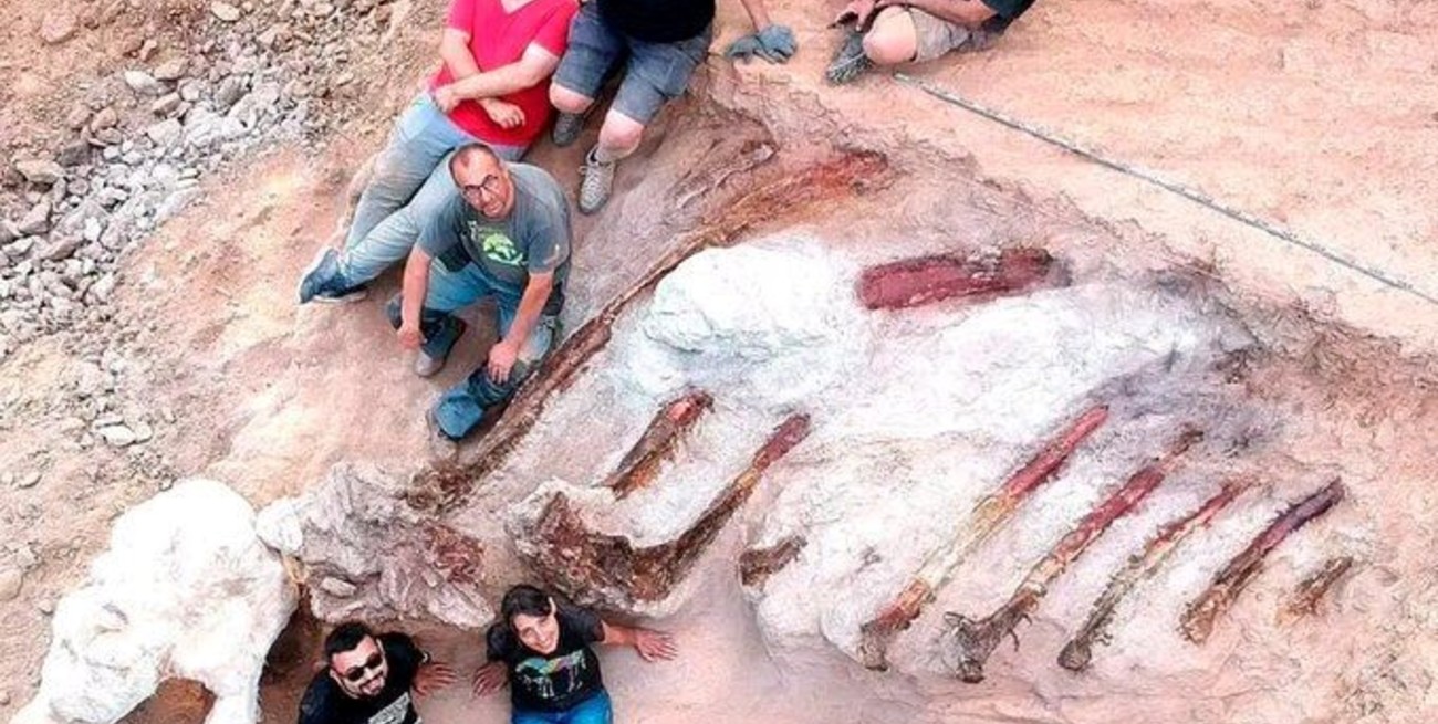 Portugal: hallaron fósiles de dinosaurio en el patio de una casa