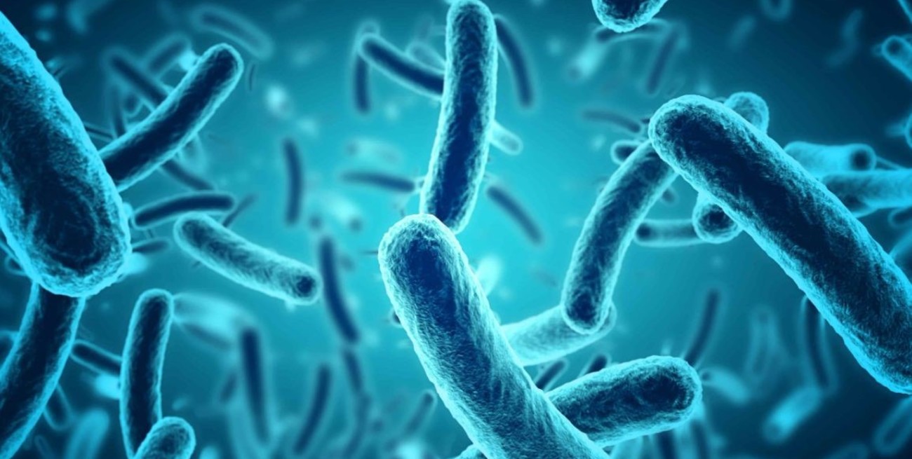 Brote de enfermedad de origen desconocido en Tucumán: apuntan a la “legionella"