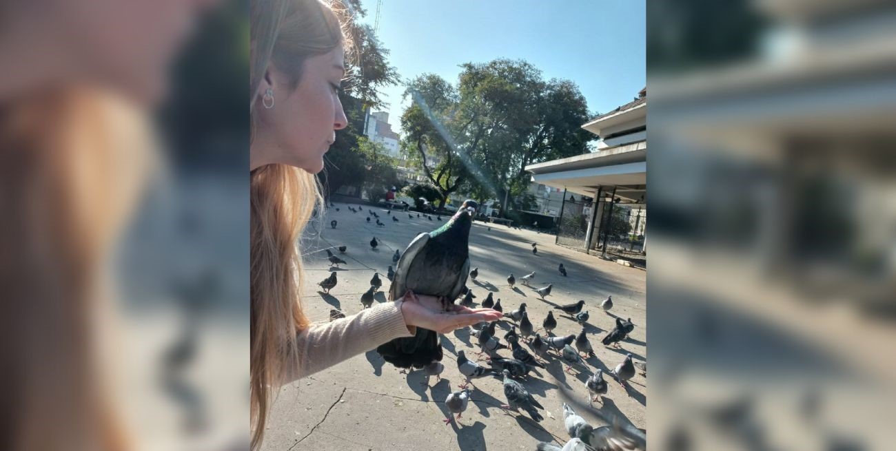 Línea directa: "Hartos de piquetes", "Fallas de las luces led" y otros mensajes