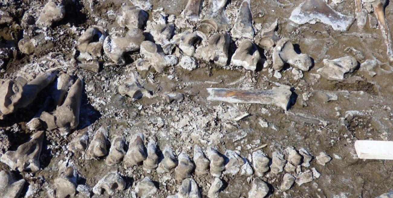 Según estudios: en Melincué se encontraría uno de los asentamientos más antiguos de la provincia