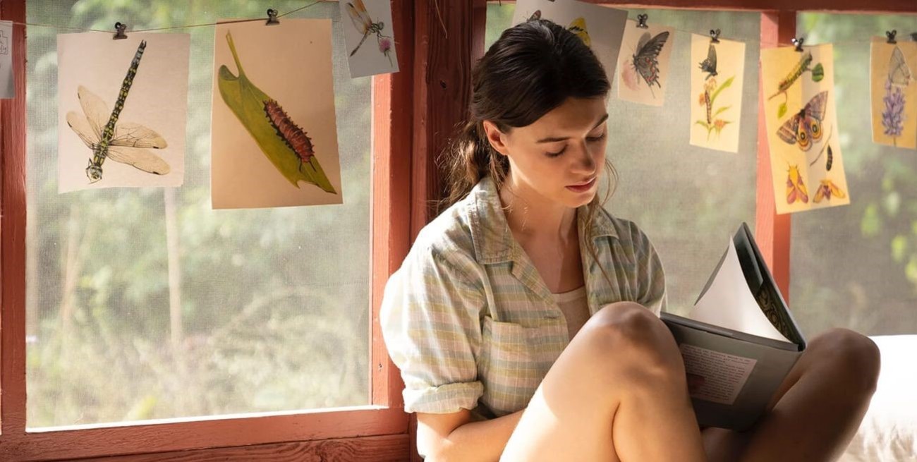 Novedades en los cines 
