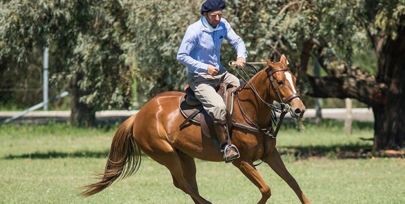 Tragedia en el sur de Santa Fe: murió un joven al caer de un caballo
