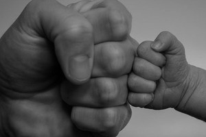 En el primer semestre del año se recibieron 286 formularios de inscripción, 220 pasaron a la segunda instancia del proceso y 73 completaron la solicitud de registración.