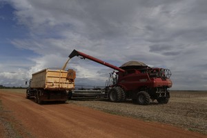 Créditos: Archivo El Litoral