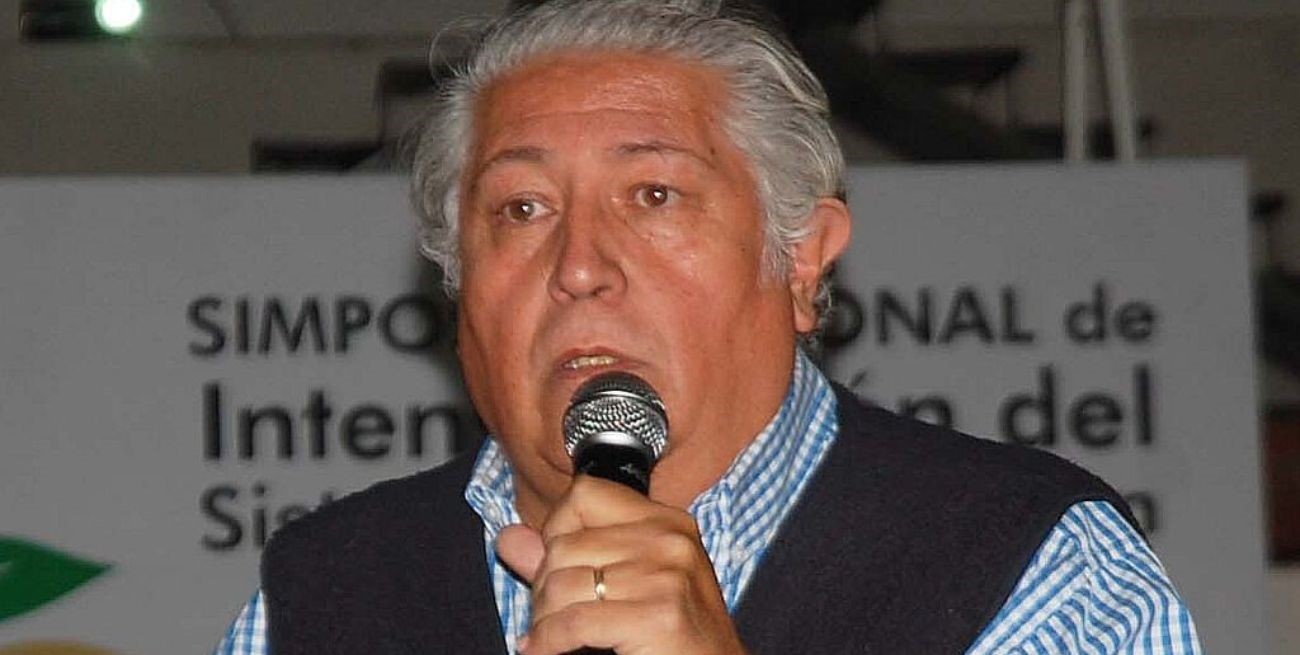 Pablo Adreani: el dólar soja "es una oportunidad que hay que capturar"

