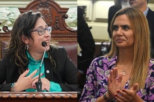 Bravo, la diputada que insiste en sancionar a Granata.