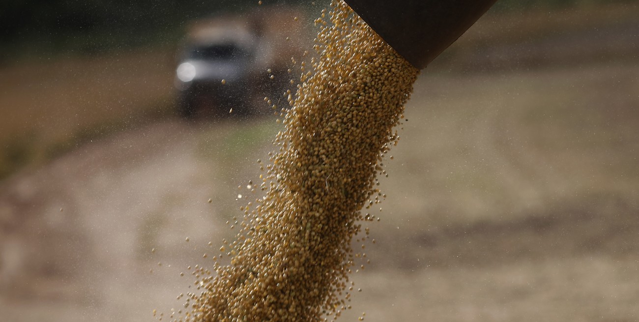 En apenas 72 horas se liquidaron US$ 1075 millones de dólar soja