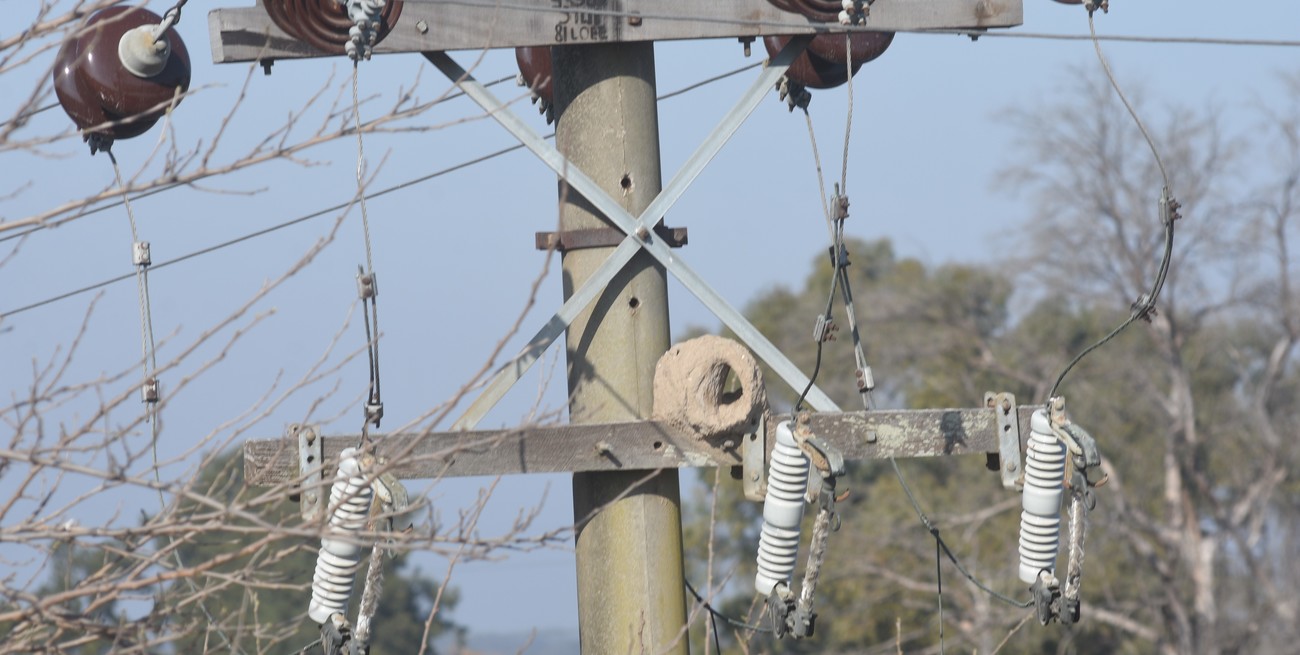 Línea directa: "Parrillas al aire libre", "Argentina colapsada" y otros mensajes