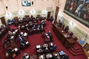 Hubo sesión este jueves en la Cámara de Diputados de Santa Fe. Crédito: Luis Cetraro