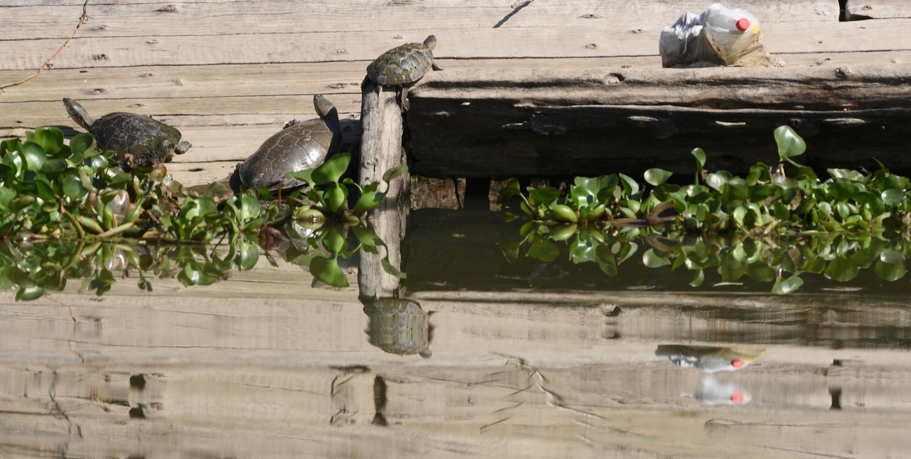 Sin rastros sobre el barco de madera hallado hundido en el Puerto de Santa Fe