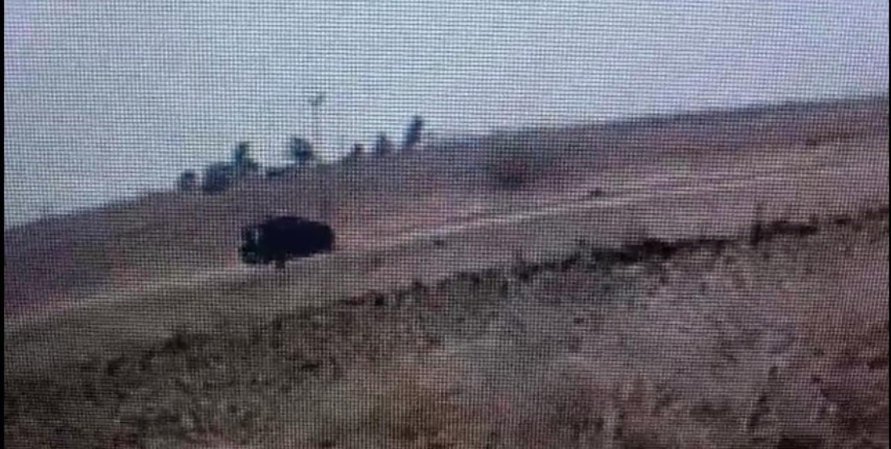 Video: provocó intencionalmente un incendio en un campo y quedó registrado por las cámaras de seguridad