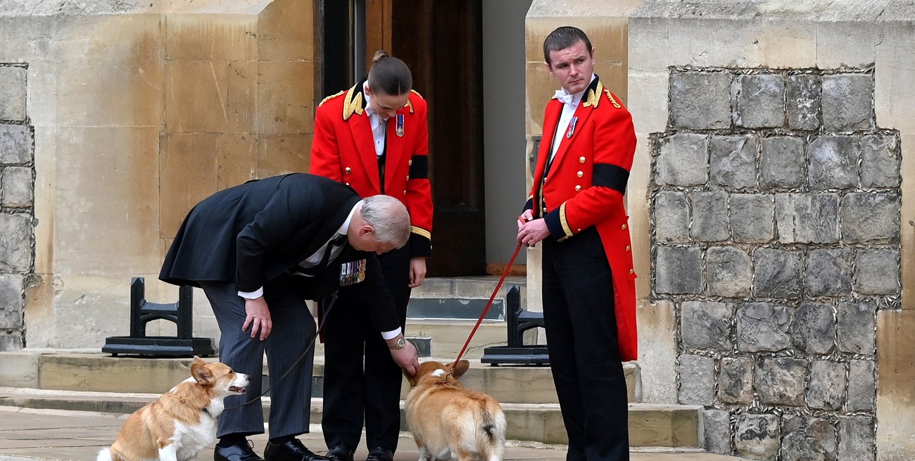 Los corgis y el pony de Isabel II participaron de la procesión fúnebre 