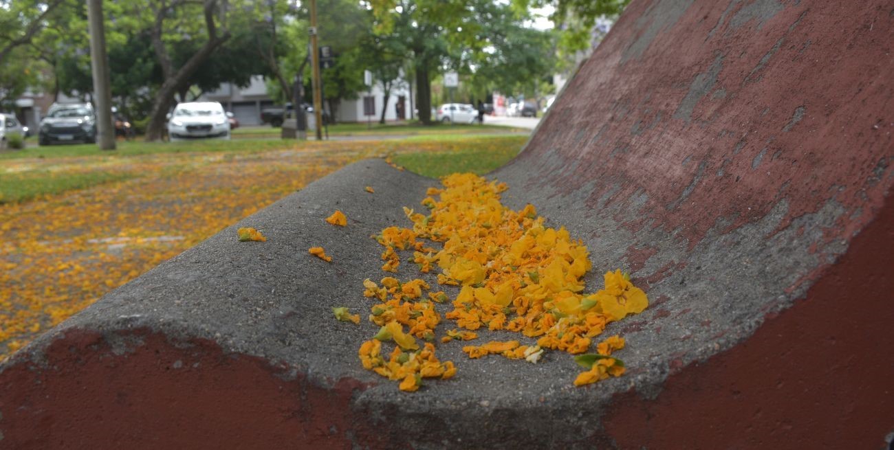 La primavera empieza en la ciudad de Santa Fe con frío y poco sol