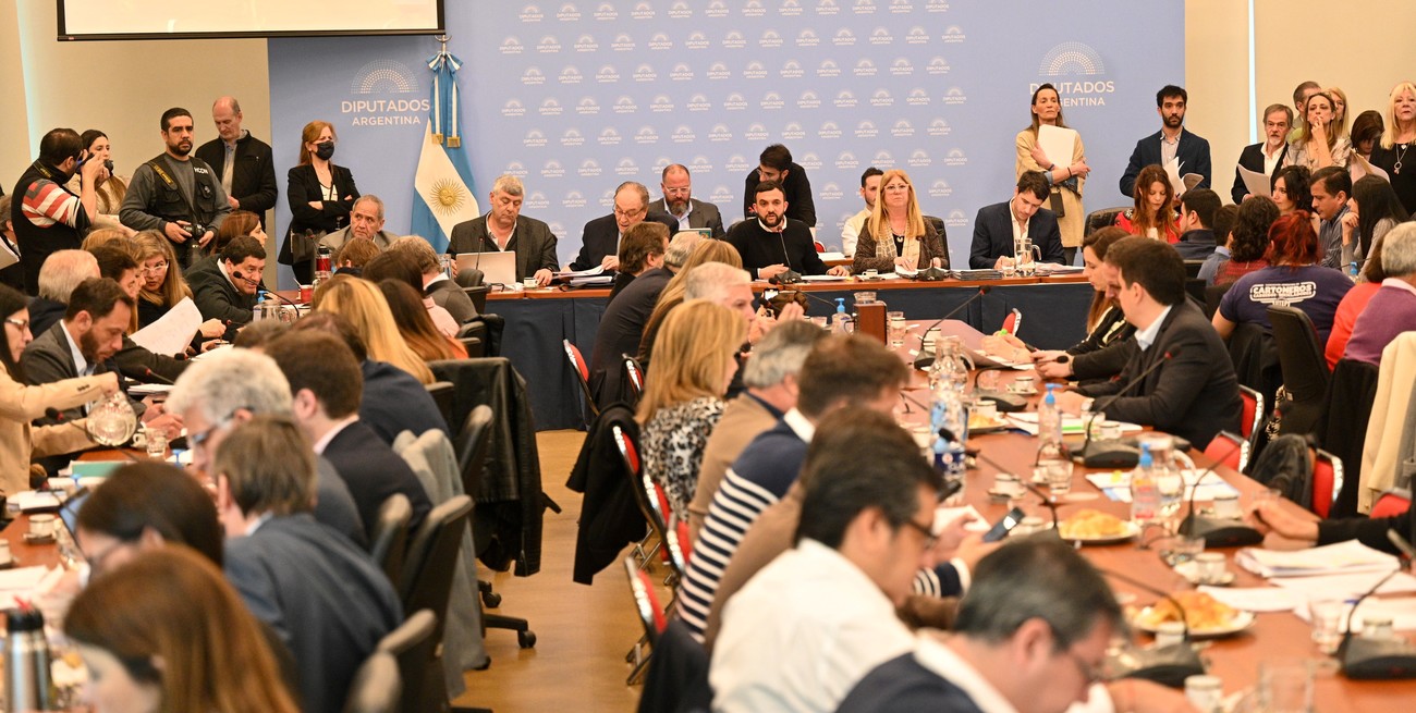 Diputados: postergan hasta el próximo jueves el dictamen del proyecto para proteger los humedales