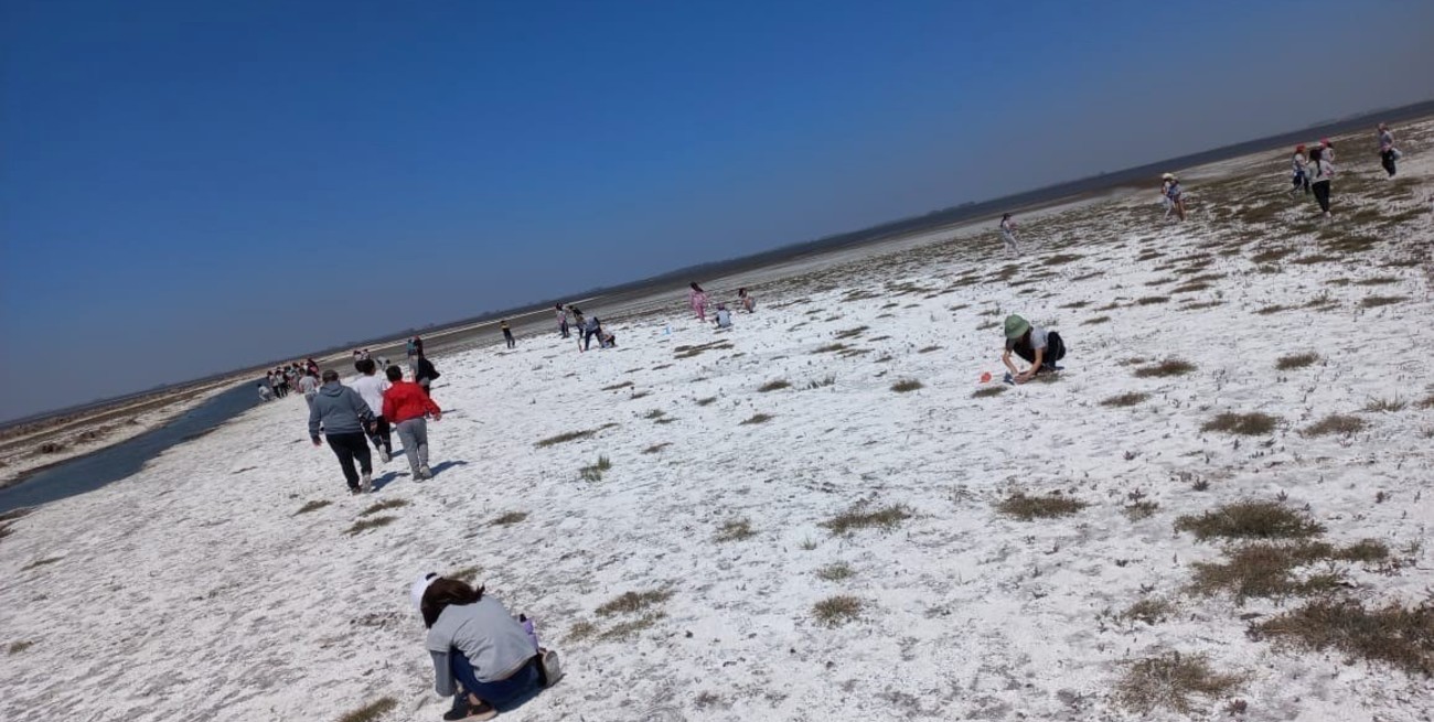 La sequía de la laguna de Melincué dejó al descubierto un salar y explican su composición
