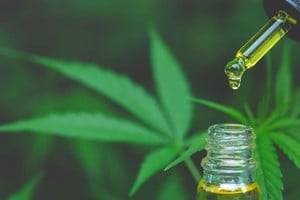 En 2021, el Laboratorio Industrial Farmacéutico santafesino (LIF) fue el primero en producir un lote de aceite de cannabis medicinal 