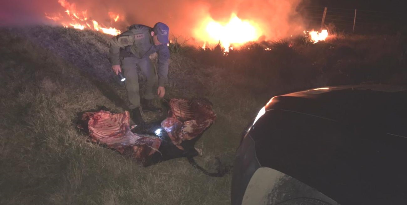 Persecución, tiros y un auto incendiado tras un procedimiento por faena clandestina