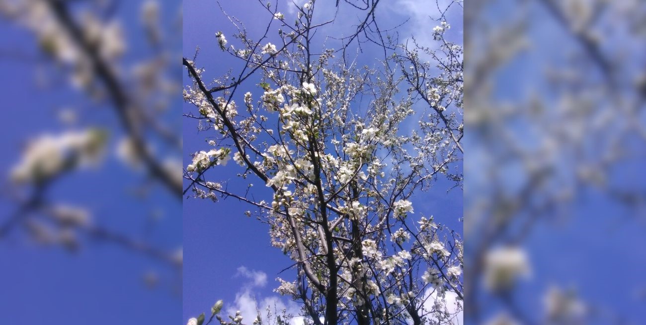 Esperaba que llegaras