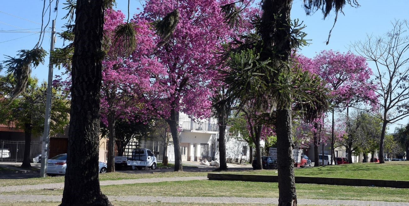 Así estará el clima este viernes caluroso en la ciudad de Santa Fe