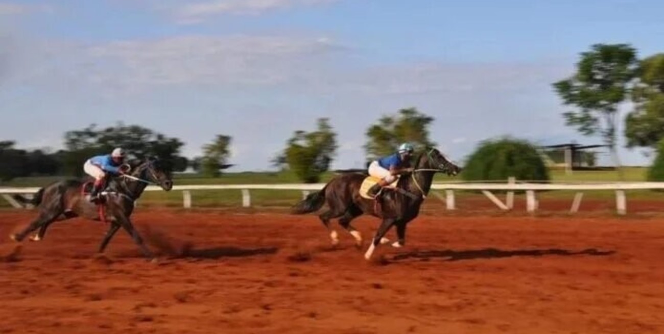 Polémica: sacrificaron a un caballo tras una carrera donde se recaudó más de 200 millones de pesos