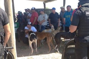 Operativo. El momento en el que las fuerzas de seguridad arribaron al predio de Santo Tomé y recuperaron los galgos. Gentileza.