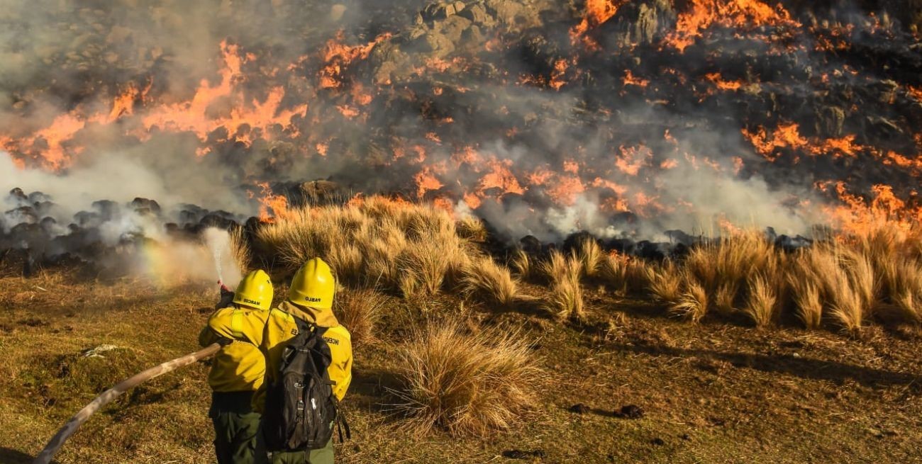 Continúan los incendios forestales en cuatro provincias de Argentina