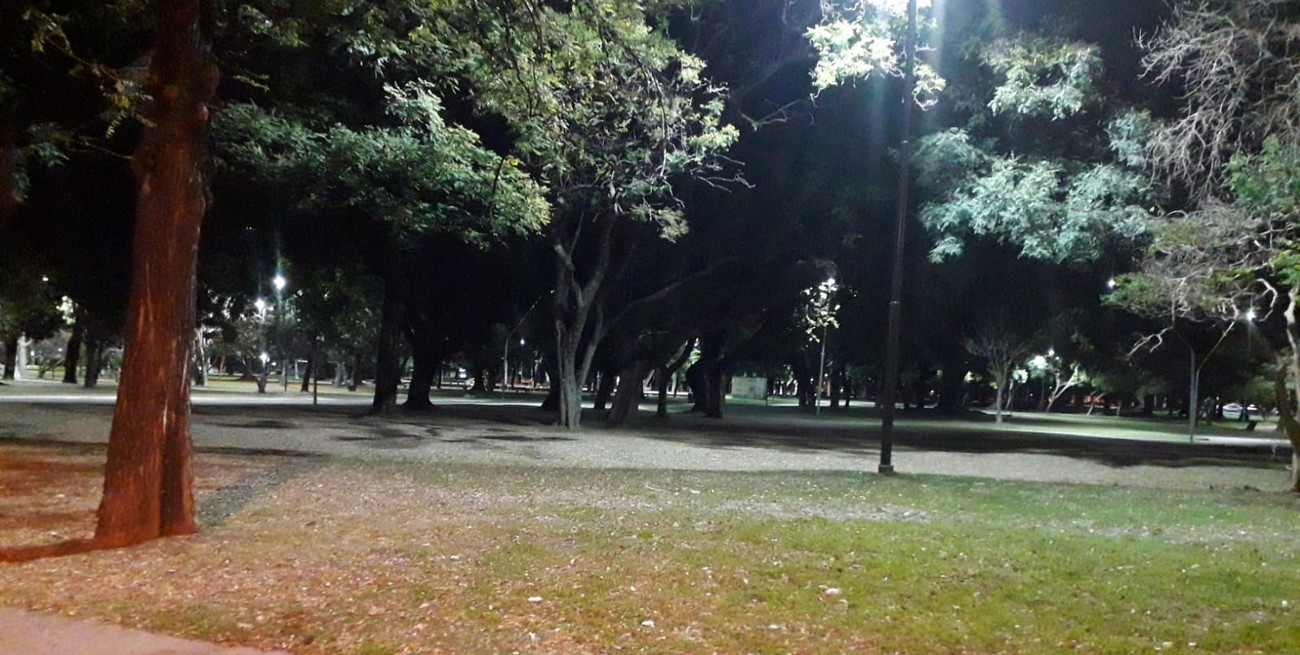 Línea directa: "Situación de abandono", "Media cuadra de basura" y otros mensajes