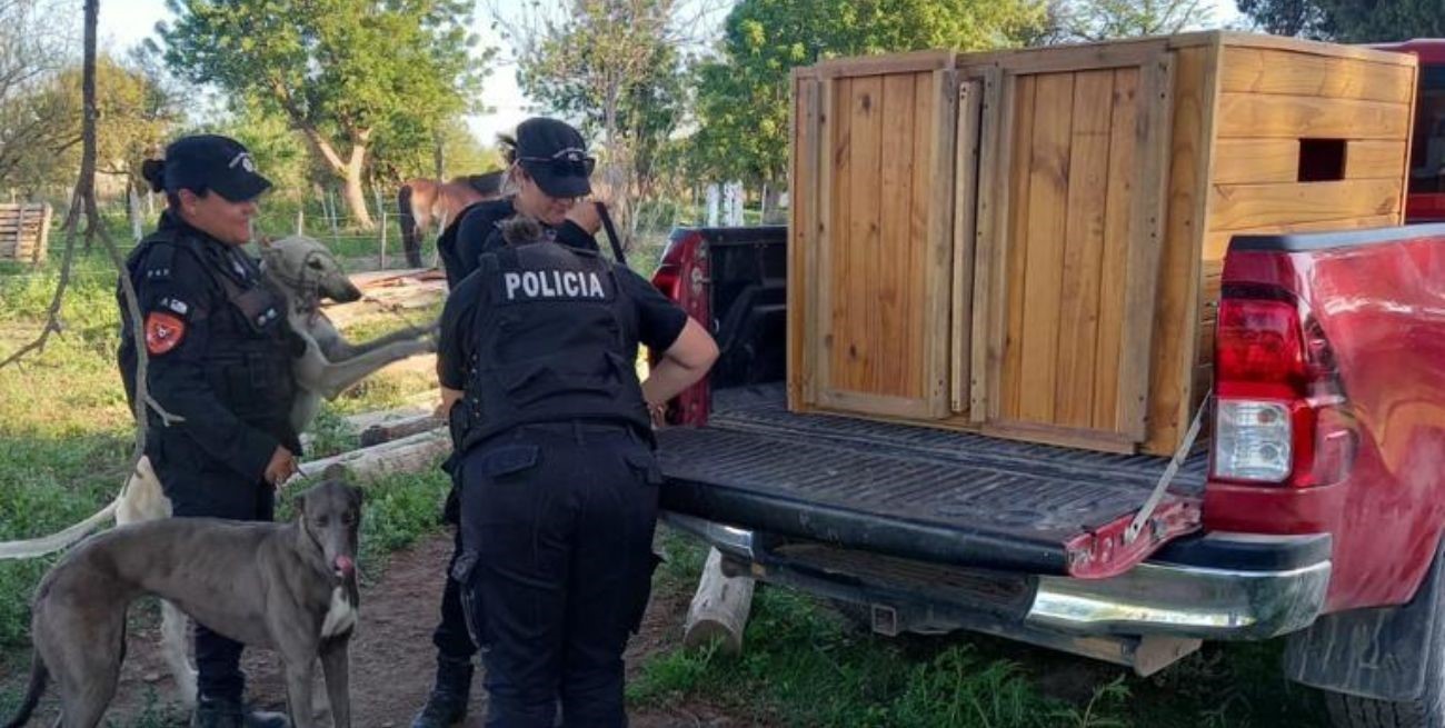 Un año de prisión en suspenso para el galguero de Santo Tomé

