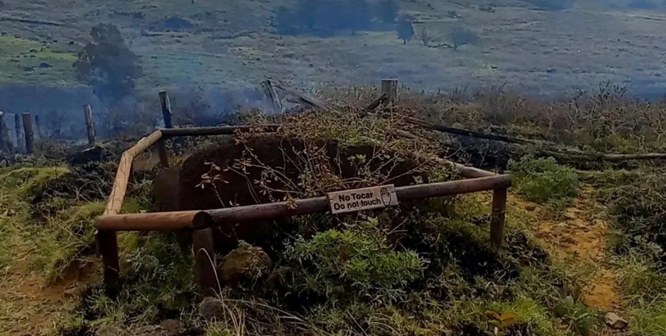 Un incendio forestal destruyó 80 moáis en la Isla de Pascua