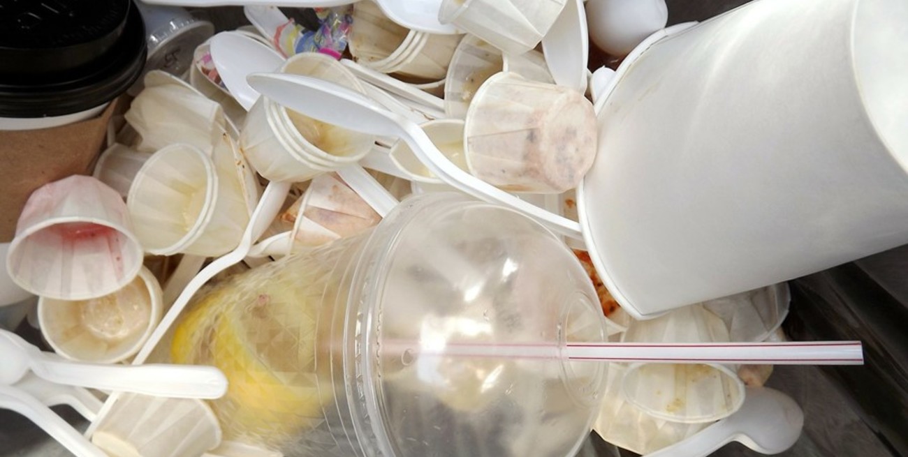 Por menos plásticos "use y tire": plantean que la gente lleve su propio vaso a los eventos masivos