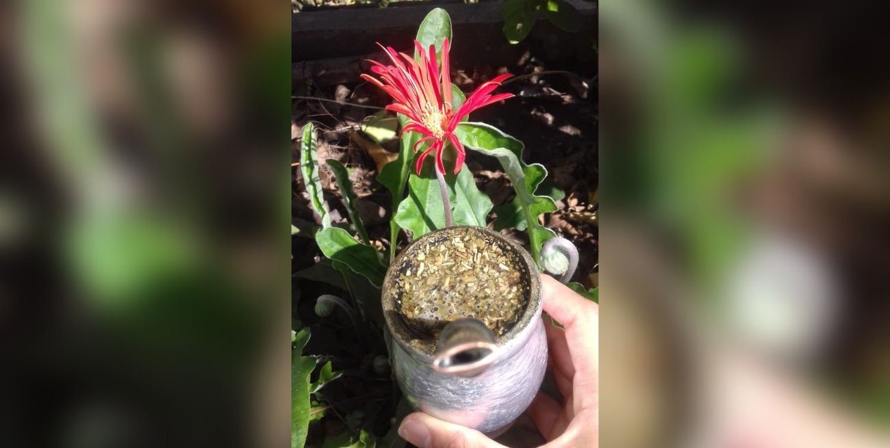 Línea directa: "Oscuridad, abandono, desidia", "Obras públicas" y otros mensajes