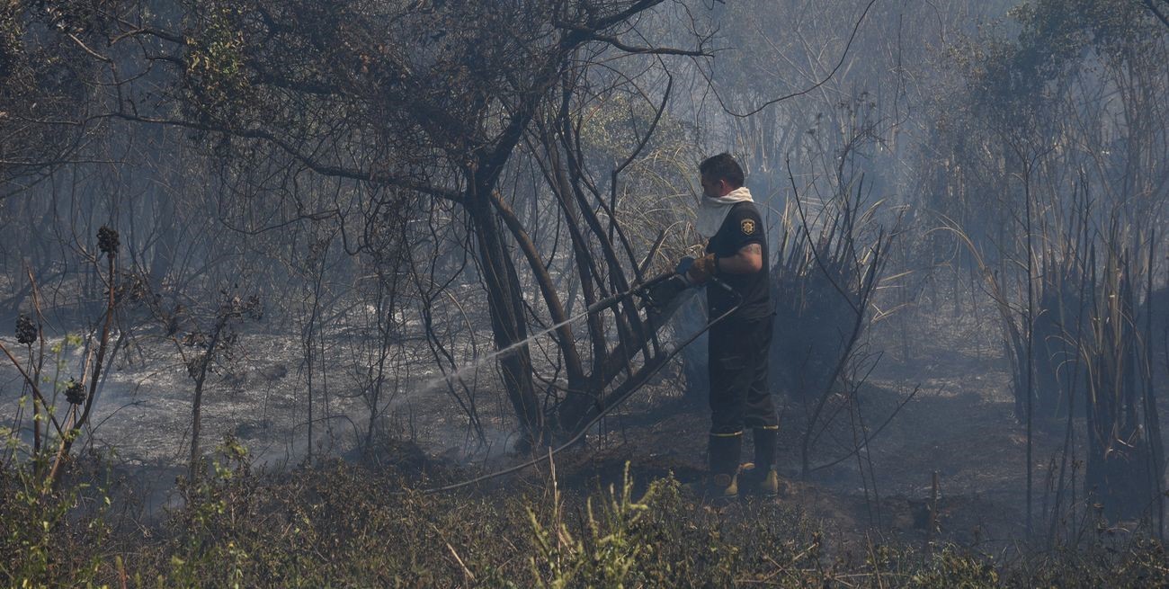 El municipio de Santa Fe denunció las quemas en las islas y pide que investiguen si hubo intencionalidad
